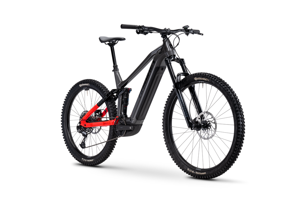 Haibike ALLMTN 4