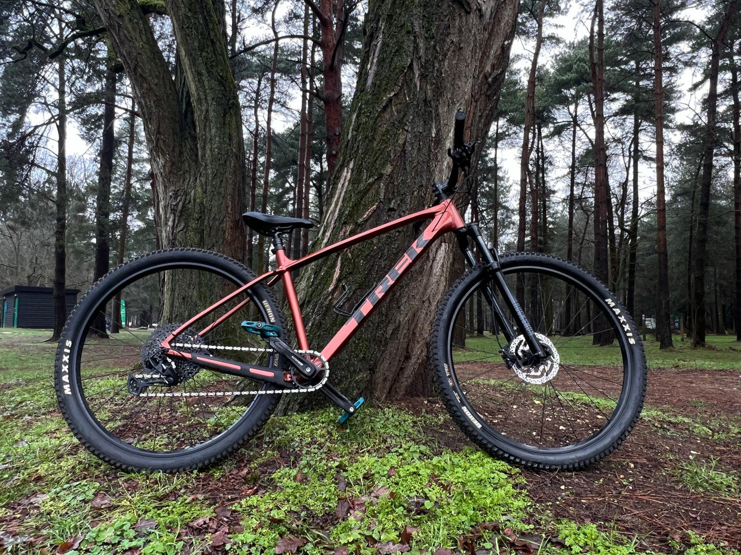 Trek Marlin 7 Ex Hire