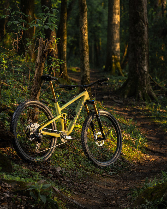Trek – Primo Cycles Ride Experience