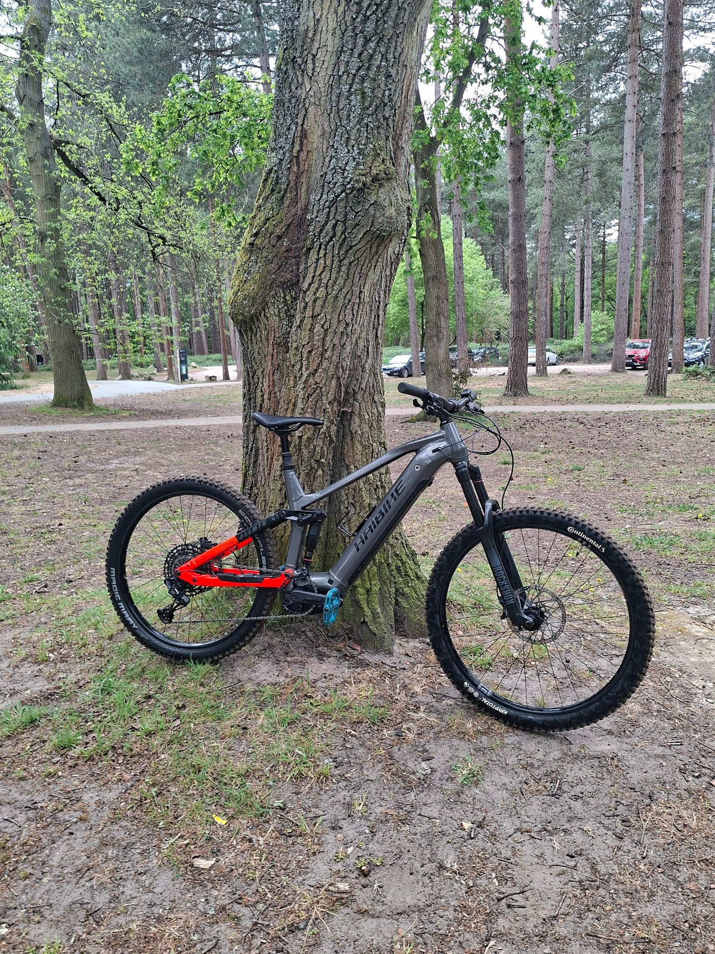 Ex Hire Haibike ALLMTN 4 large
