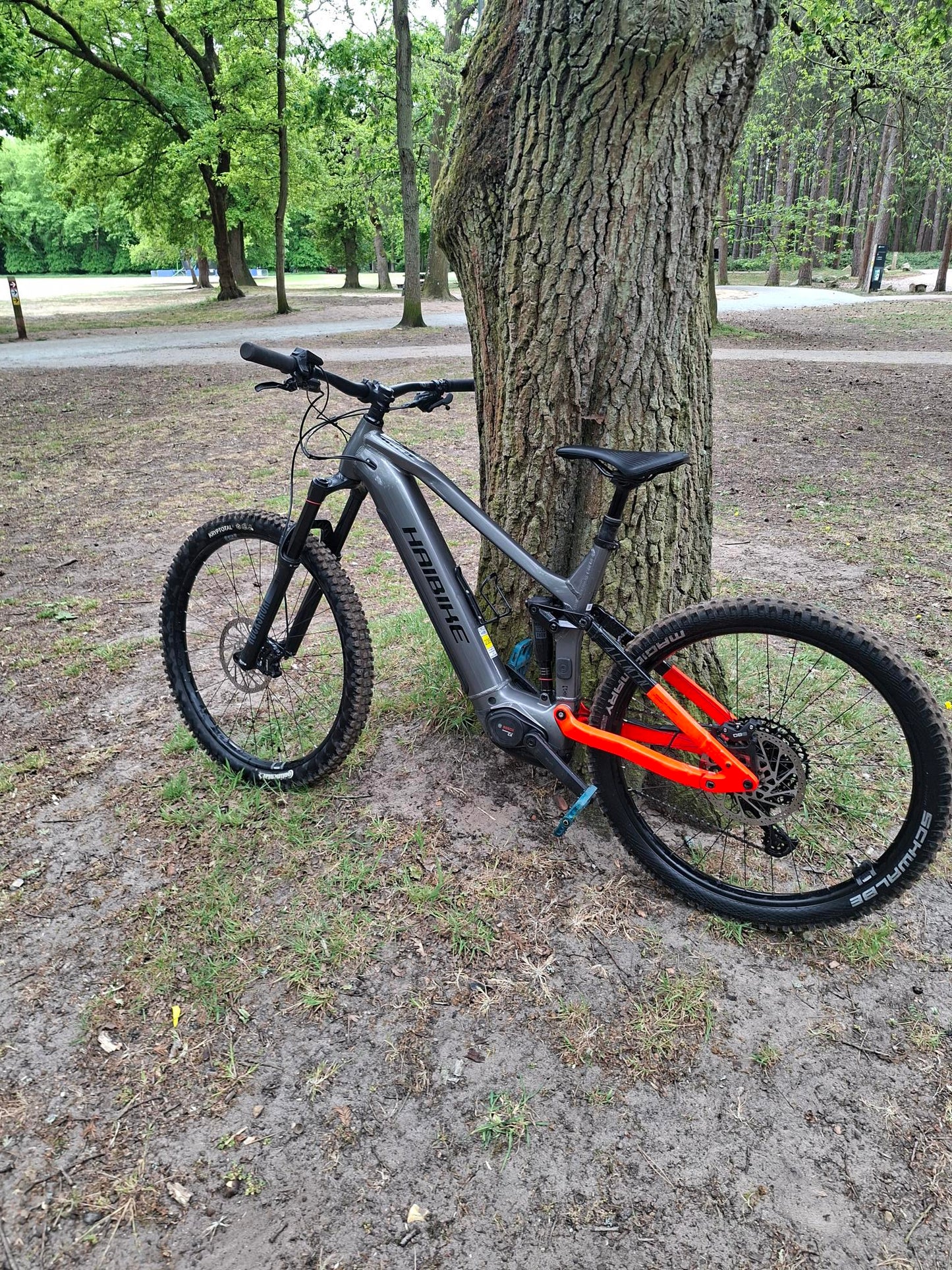 Ex Hire Haibike ALLMTN 4 large