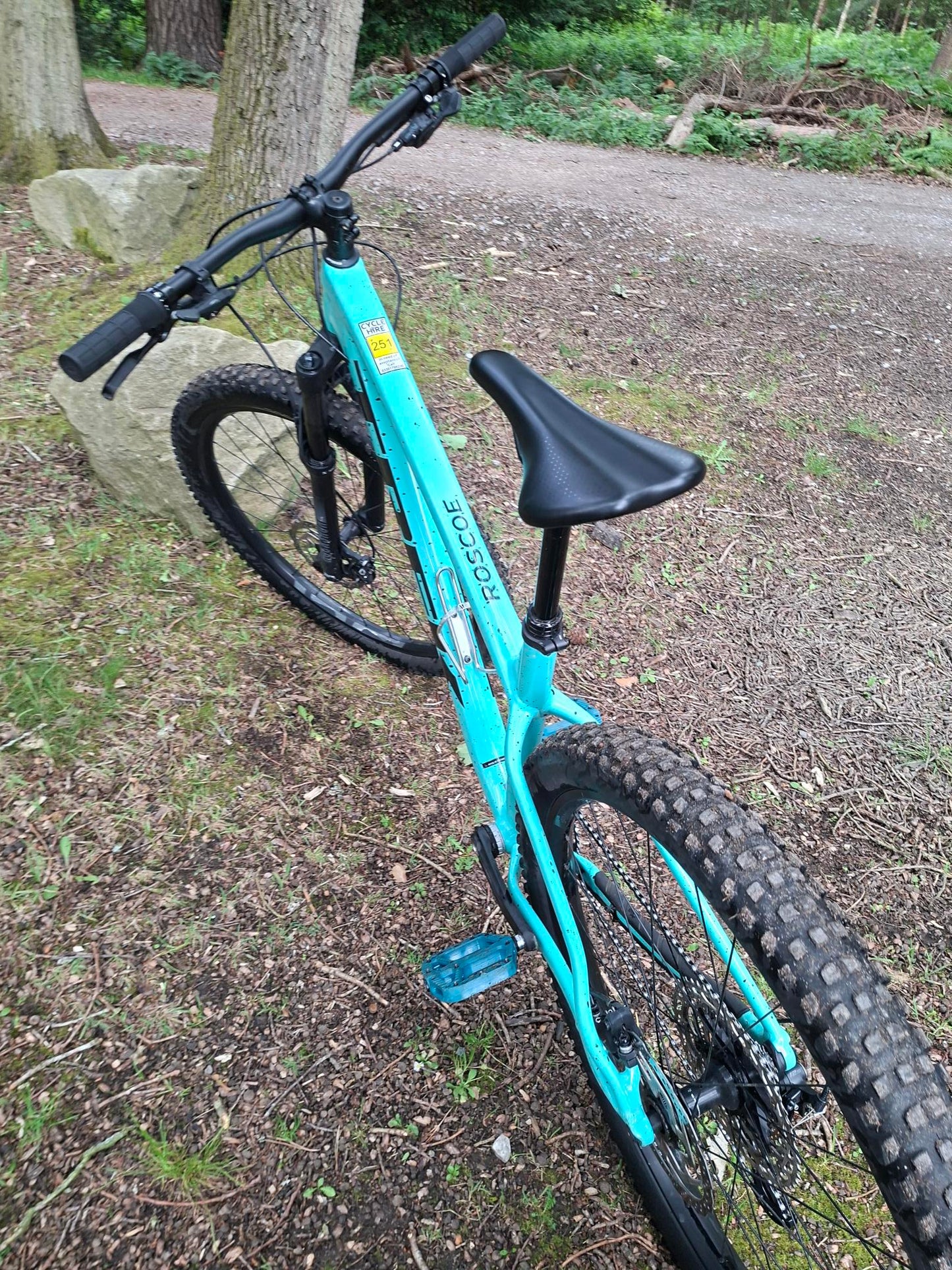 Ex Hire Trek Rosoce 7 medium large - Teal