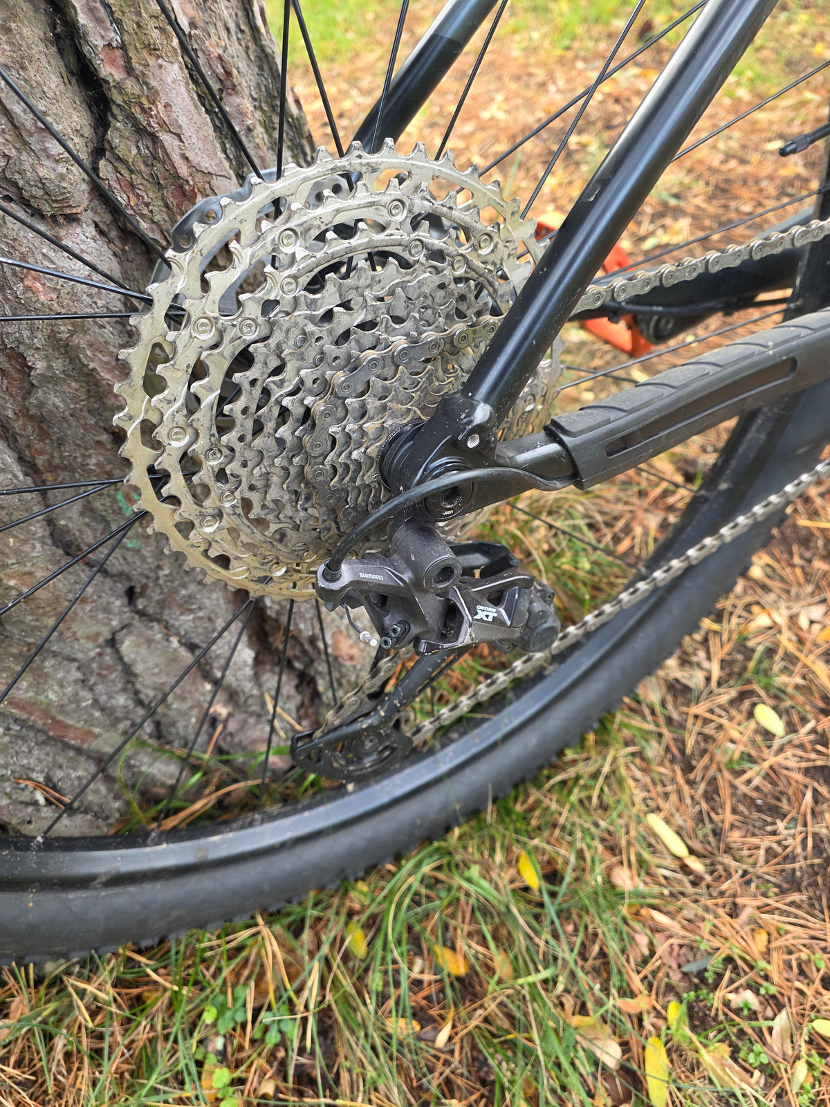 Ex Hire Trek Procaliber 6