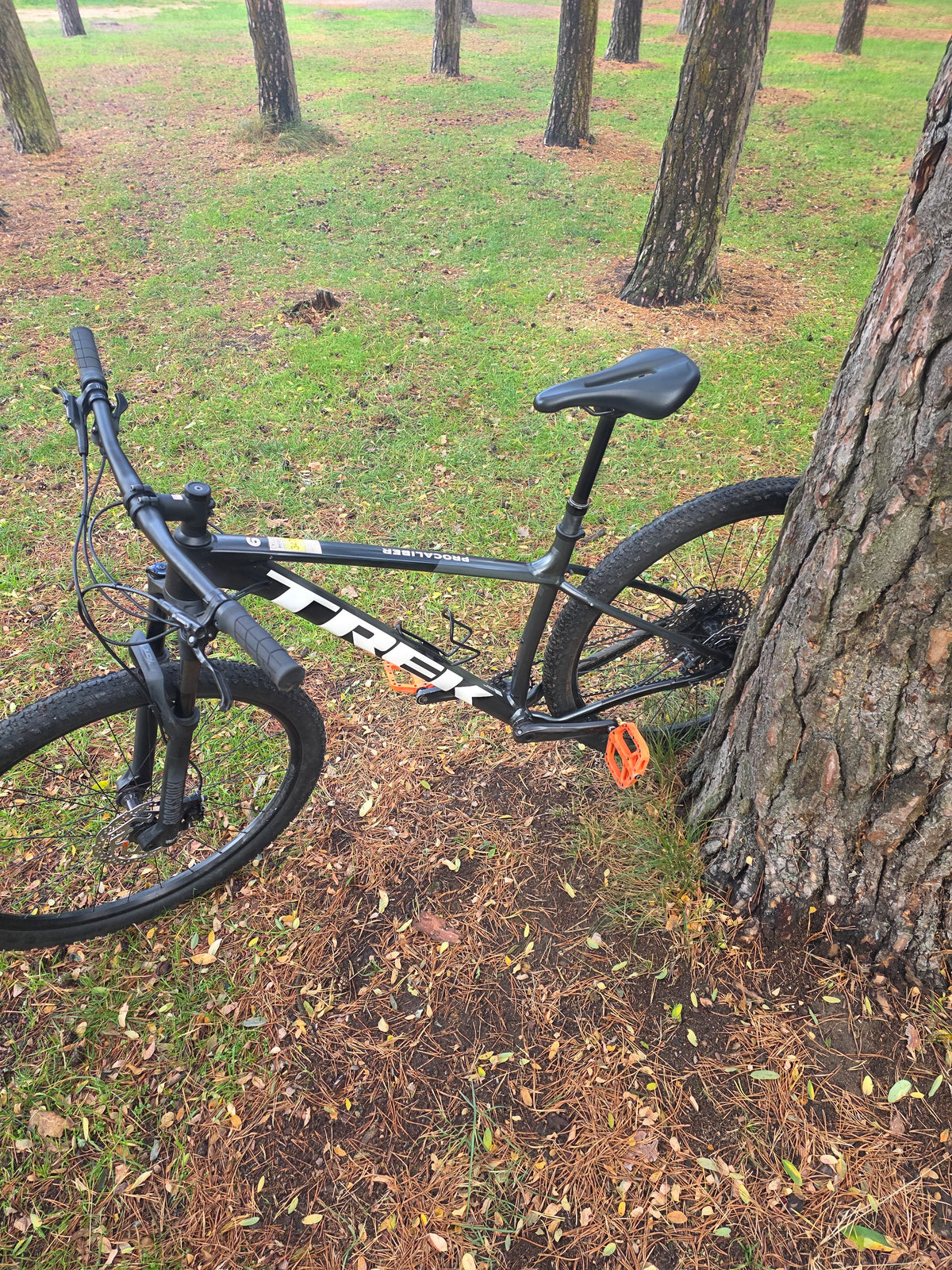 Ex Hire Trek Procaliber 6