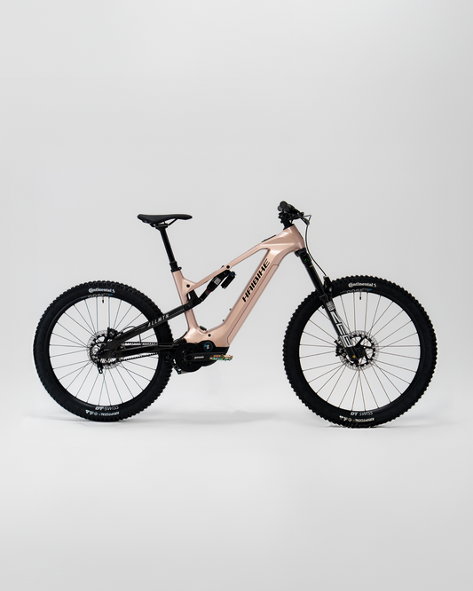 Haibike ALLMTN CF 11 TRN/IQ