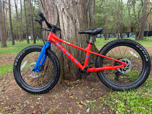 Ex Hire Marin Bear valley 20''